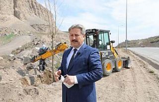 Başkan Palancıoğlu: “Vatandaşlar dikilen ağaçlar...