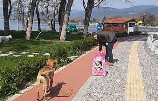 Başkan, sokak hayvanları için çağrıda bulunan...