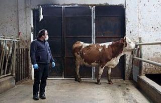 Bayburtlu çiftçilerden Milli Dayanışma Kampanyası’na...