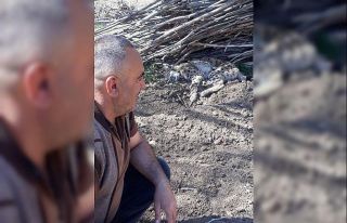 Bayburt’ta bitkin halde görüntülenen vaşak telef...