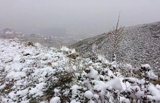 Bayburt’ta Nisan ayının sonuna doğru kar yağışı