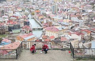 Bayburt’ta sokak hayvanları için mama, yiyecek...