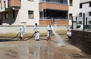 Bayburt’ta toplum sağlığı için sterilizasyon...
