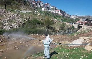 Besni’de haşereyle mücadele sürüyor