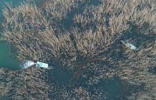 Beyşehir Gölü’nde yasa dışı avlanmaya karşı...