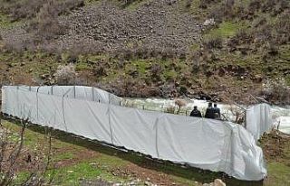 Beytüşşebap’ta sokak hayvanları için kalıcı...