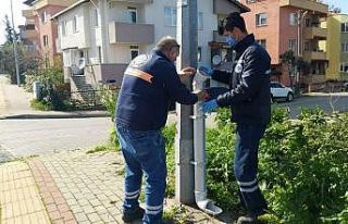 Biga Belediyesi sokak hayvanlarını unutmadı