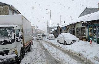 Bingöl’de kar yağışı, 281 köy yolu kapandı