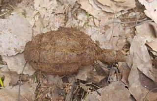 Bitlis’te toprağa gömülü el bombası ele geçirildi