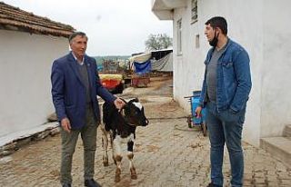 ‘Biz Bize Yeteriz Türkiyem” deyip buzağını...
