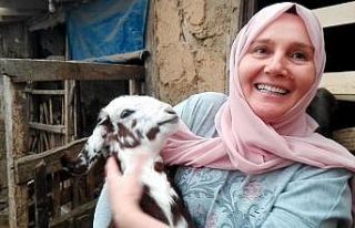 Borç para ile başladığı keçi üretimini bir...