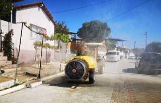 Boş kalan Germencik sokakları dezenfekte edildi