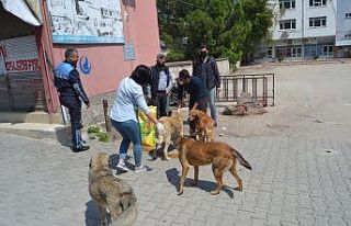 Boş sokakların keyfini çıkarıyorlar