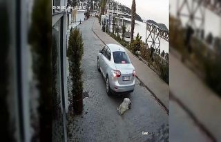 Böyle vicdansızlık görülmedi