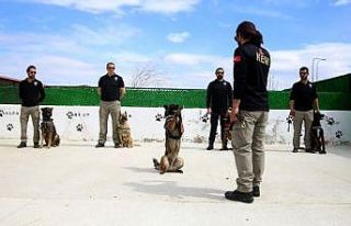 Bu kez ‘Evde kal’ çağrısı, dedektör köpeklerden...
