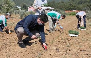 Buca’da korona virüsüne karşı gıda önlemi:...