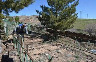 Bünyan Belediyesi mezarlıklarda bakım ve temizlik...