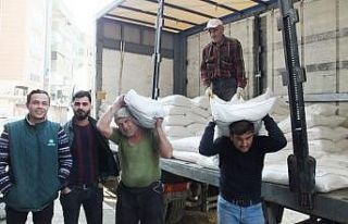 Burhaniye’de yazlık ekilişler başladı gübre...