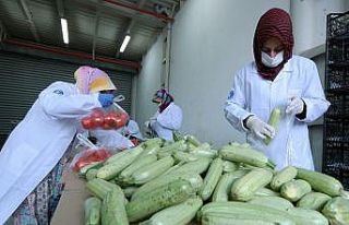 Bursa Büyükşehir Belediyesi sokağa çıkma kısıtlaması...