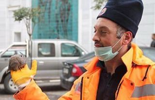 Bursa’da ebabil kuşu görüldü