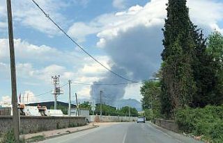 Bursa’da soğuk hava deposunda yangın