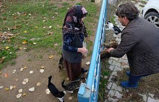 Bursalı fırıncı aç kalan köpek ve kedilere böyle...