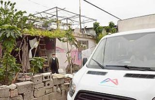 Büyükşehir Belediyesi, asırlık çınarı unutmadı