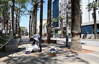 Büyükşehir belediyesi sokak hayvanlarını unutmadı