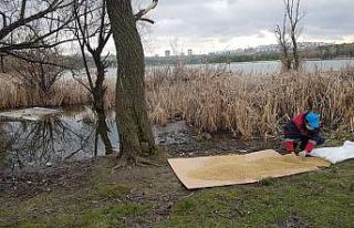 Büyükşehir can dostlara mama desteğini sürdürüyor