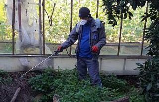 Büyükşehir Demre’yi yaza hazırlıyor