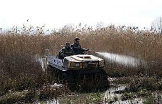 Büyükşehir salgının yanı sıra vektörle de...