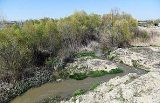 Büyükşehir vektörle mücadelesine hız verdi