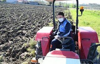 Büyükşehir zabıtası yaşlı çiftin tarlasını...