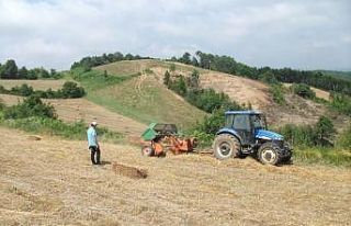 Büyükşehir’in yüzde 50 hibeli tohum desteği...