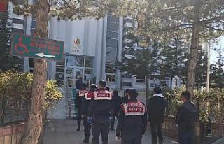 Çalınan hayvanlar sahibine teslim edildi