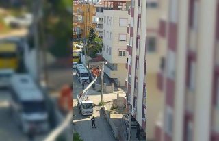 Camdan silkelediği halı, elektrik direğine asılı...
