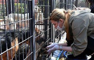 Can dostlara iş dünyasından destek