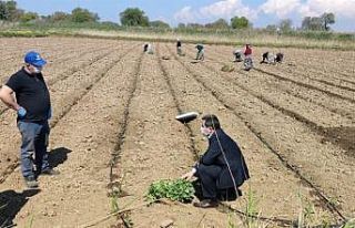 Çanakkale’de tarımsal üretim kesintisiz sürdürülüyor