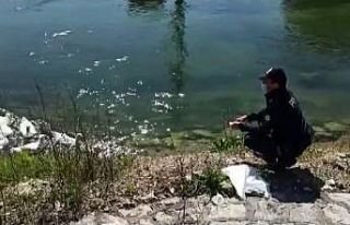 Çark deresinde yüzen ördekleri polis besledi