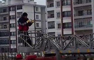 Çatıda mahsur kalan güvercini itfaiye kurtardı