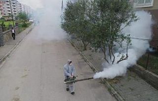 Ceyhan belediyesi, korona virüs ile mücadeleye aralıksız...