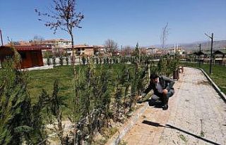 Çiçekdağı Belediyesi 10 bin fidanı toprakla buluşturmak...