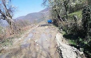 Cide Üçağıl köyü yolları bakımdan geçirildi