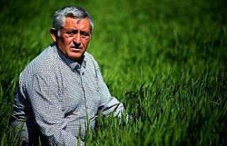 Çiftçi bollukta da tanzim satış noktası istiyor