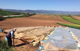 Çiftçiler üretmeye devam ediyor