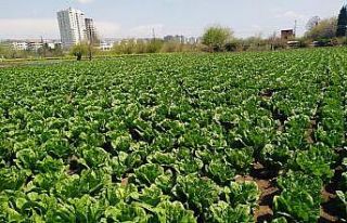 ÇKS belgeli Kilisli çiftçiler arazilerine gidebilecek