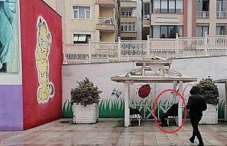 Çocuk parkındaki kamelyada ölü bulundu