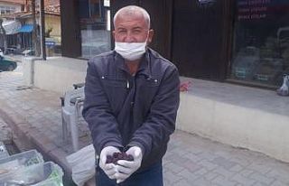 Dağlardan topladığı eriği kurutup satıyor