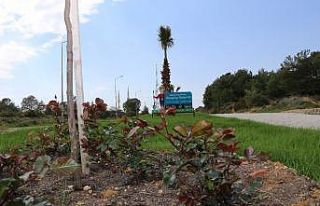 Daha yeşil bir Alanya için çalışmalar sürüyor