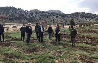 Davraz Kayak Merkezi gül ve lavanta kokacak